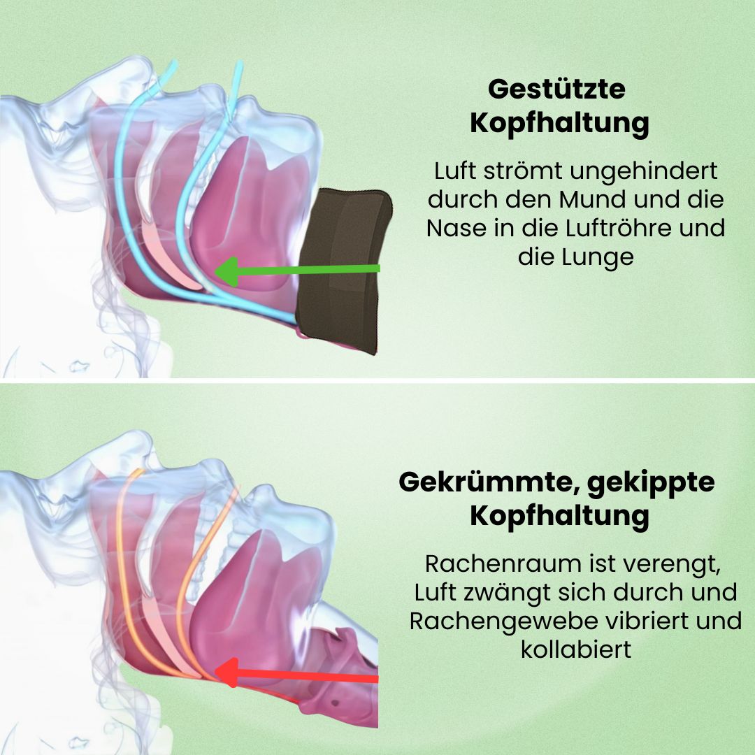 Lunaris - Ergonomische Nackenstütze gegen Verspannungen, Schnarchen und Apnoe